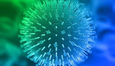 cesty infekcie ľudským papilomavírusom