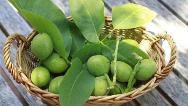 vlašské orechy na odstránenie papilómov